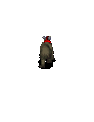 1_walkidc.gif