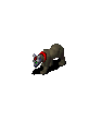 attackbear.gif